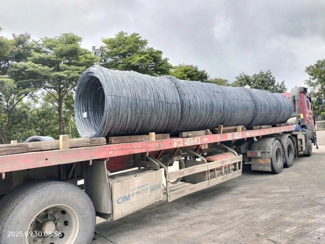 Hợp tác quốc tế - Bước đi vững chắc của Thép Miền Nam - Ảnh 4