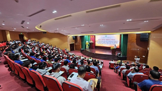 Vĩnh Long tìm cách nâng cao chỉ số đổi mới sáng tạo cấp địa phương - Ảnh 1