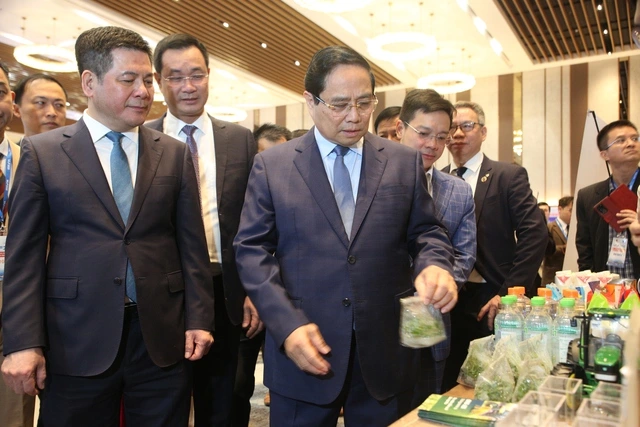 Thủ tướng Chính phủ: Phải đưa ngành logistics tăng trưởng ở mức hai con số - Ảnh 1