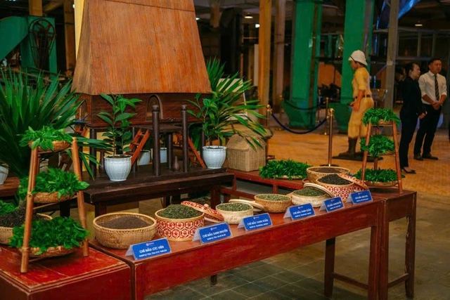 Thi khởi nghiệp về trà Việt - Ảnh 1