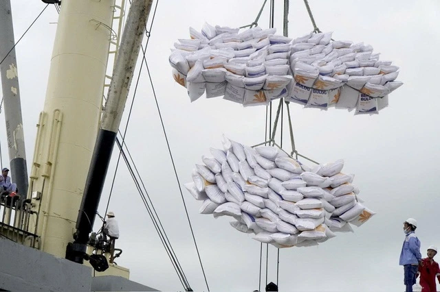 Xuất khẩu gạo trụ vững bất chấp khó khăn - Ảnh 1