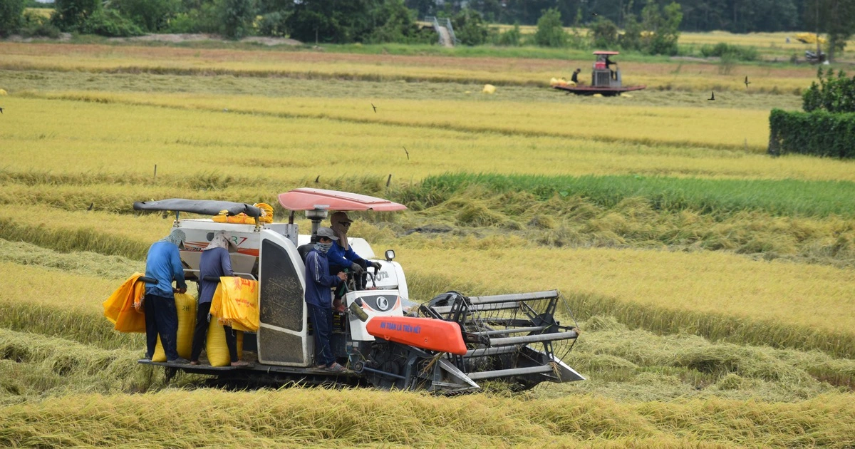 Đồng Tháp: ‘Thương hiệu’ giàu bản sắc, giàu khát vọng vươn lên