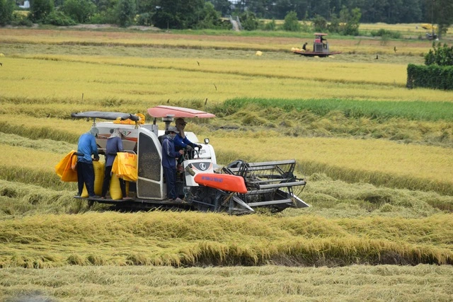 Đồng Tháp: ‘Thương hiệu’ giàu bản sắc, giàu khát vọng vươn lên - Ảnh 2