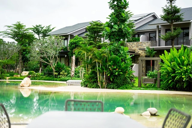 Thưởng thức cuộc sống tại biệt thự rừng lần đầu tiên được Ecopark ra mắt - Ảnh 4