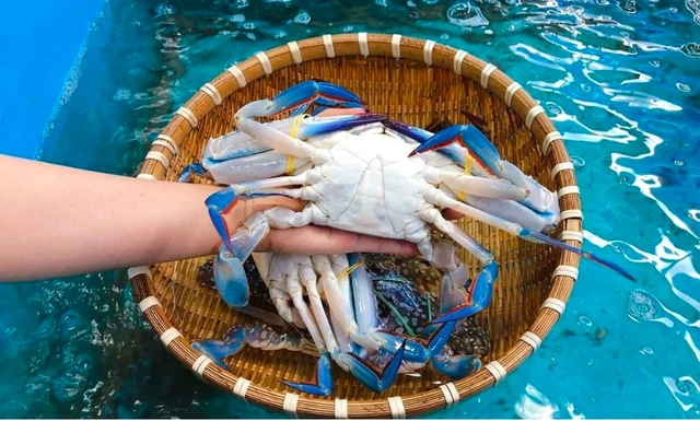 Ghẹ Việt thoát hiểm phút cuối, tiếp tục xuất sang Mỹ - Ảnh 1