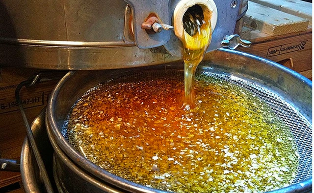 Mật ong Việt Nam bất ngờ được Mỹ giảm thuế mạnh - Ảnh 2