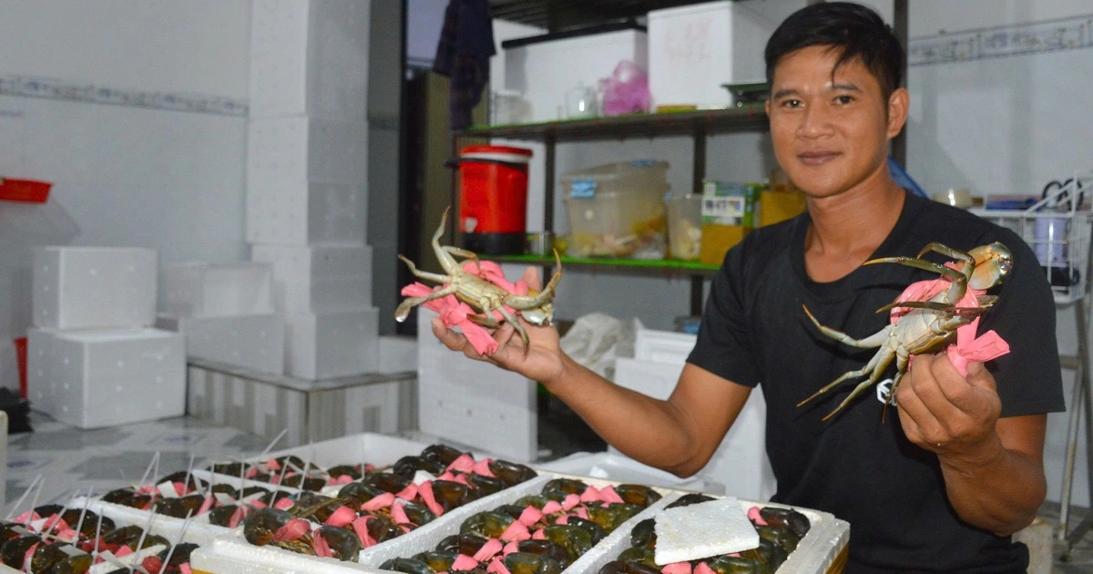 Cua Cà Mau khẳng định vị thế đặc sản quốc gia