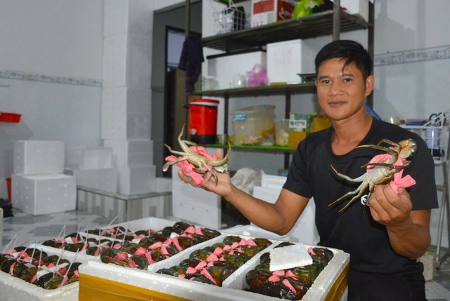 Cua Cà Mau khẳng định vị thế đặc sản quốc gia - Ảnh 1