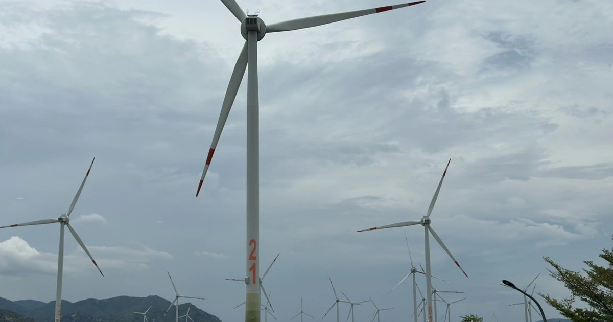 Nhà đầu tư điện gió kiến nghị hạn chế cắt giảm công suất