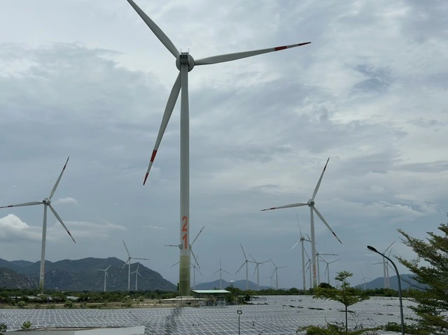 Nhà đầu tư điện gió kiến nghị hạn chế cắt giảm công suất - Ảnh 1