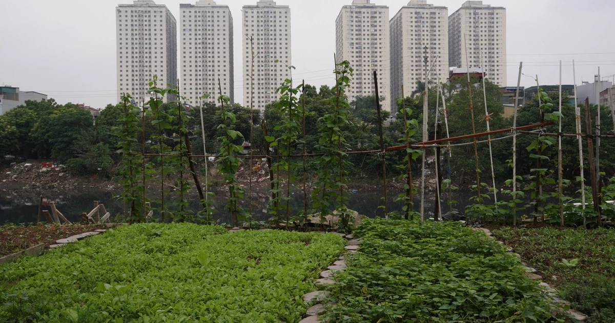 Giá đất mới ở Hà Nội cao nhất hơn 700 triệu đồng/m2