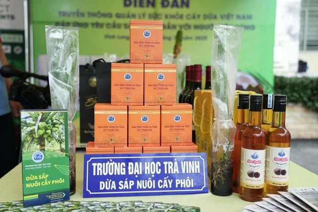 Làm sao để cây dừa Vĩnh Long khỏe phục vụ người dân? - Ảnh 2