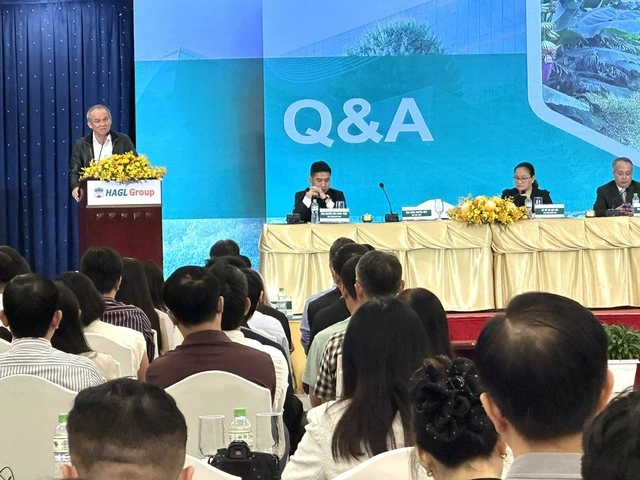 Hoàng Anh Gia Lai hoàn thành tái cấu trúc, đặt lợi nhuận lên 5.000 tỉ đồng - Ảnh 1