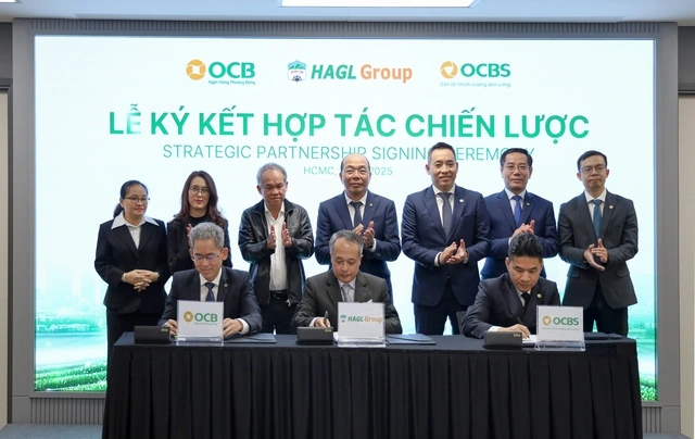 HAGL, OCB, OCBS ký kết hợp tác chiến lược - Ảnh 1