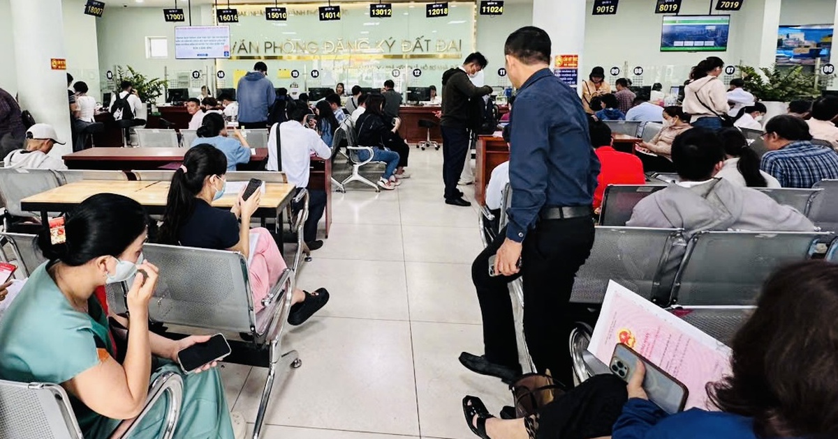 TP.HCM yêu cầu UBND cấp xã thu thập giá đất để xây dựng bảng giá đất