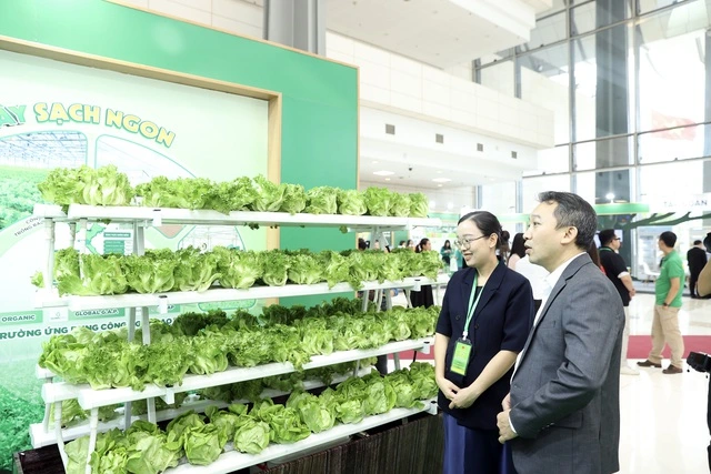 Masan giới thiệu mô hình nông nghiệp và vật liệu công nghiệp công nghệ cao - Ảnh 2