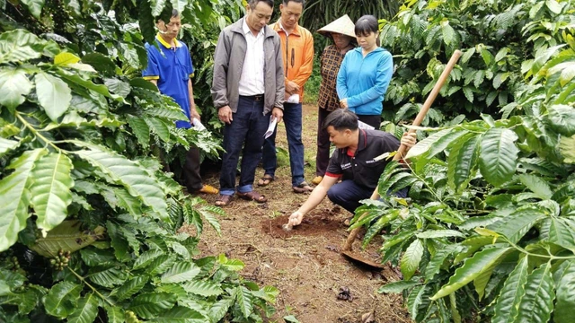 Hợp tác thúc đẩy tăng trưởng bền vững, hiện thực hóa mục tiêu Net Zero tại VN - Ảnh 2