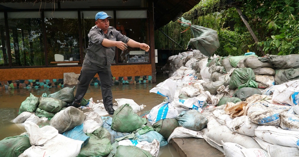Dân TP.HCM 'nhẹ người' vì nắng ấm