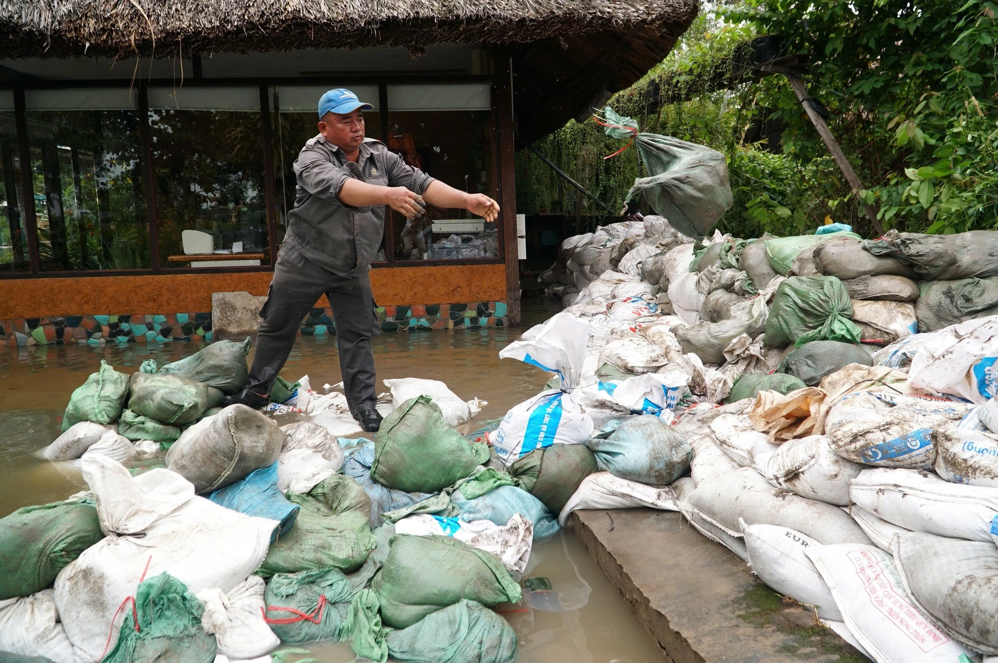 Dân TP.HCM 'nhẹ người' vì nắng ấm - Ảnh 1