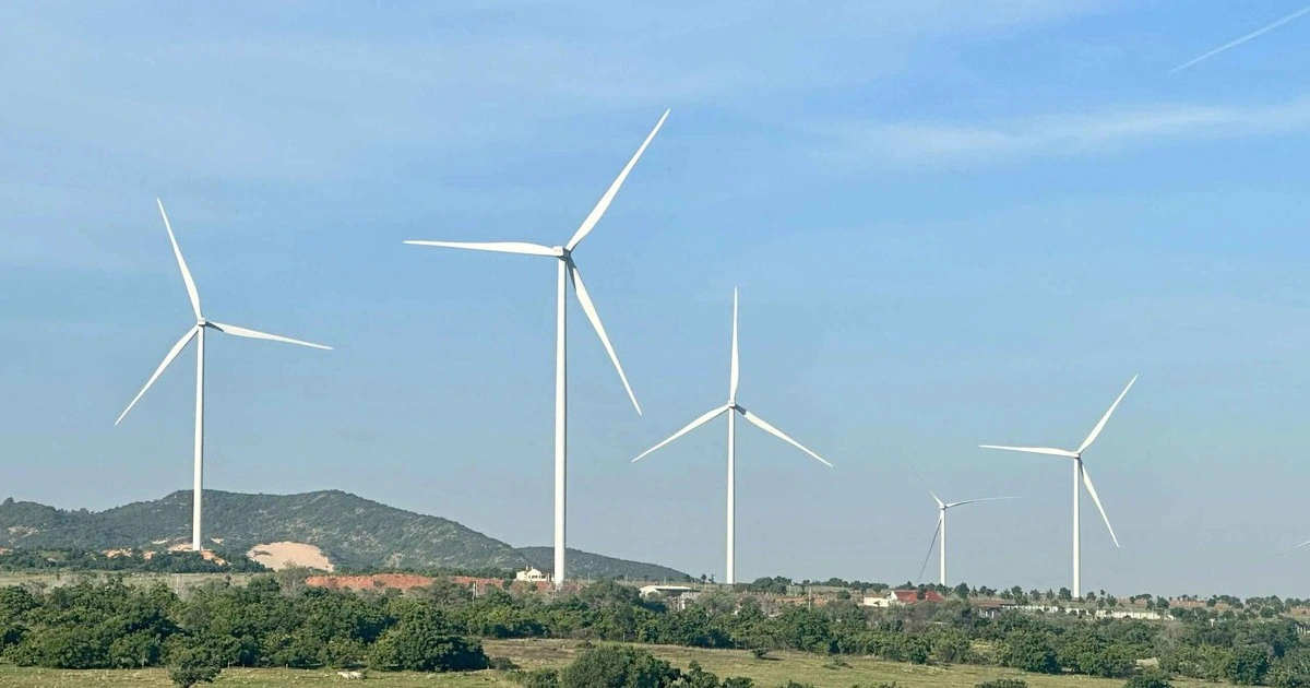 Băn khoăn điện tái tạo bị cắt giảm công suất