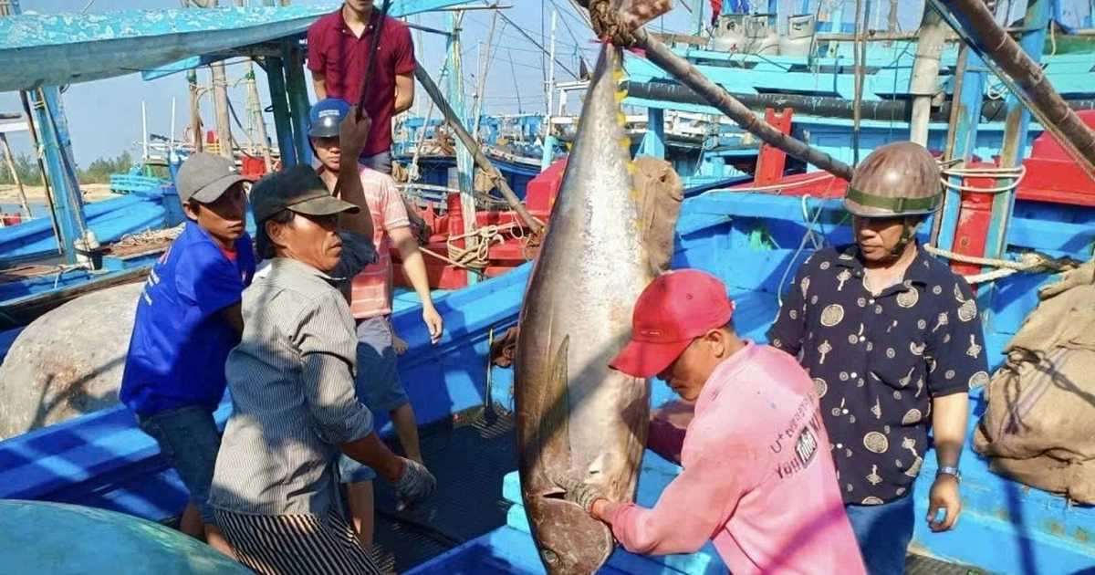 Việt Nam nhập khẩu nhiều nông sản, có đáng lo?