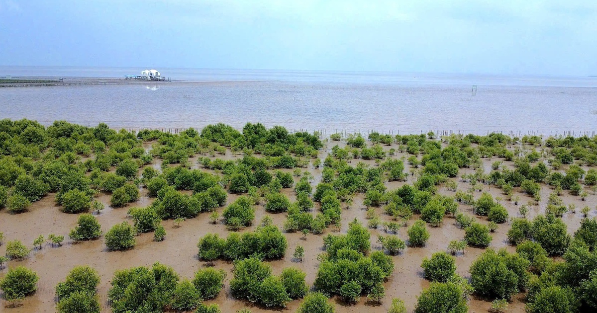 Việt Nam đẩy mạnh giảm phát thải, chống biến đổi khí hậu