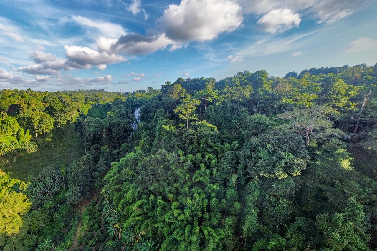 Việt Nam đẩy mạnh giảm phát thải, chống biến đổi khí hậu - Ảnh 3