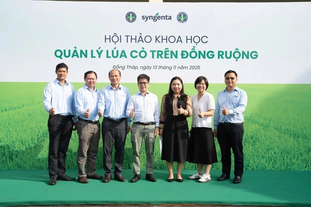 ‘Vũ khí’ mới giúp nông dân ĐBSCL diệt ‘lúa cỏ’ bảo vệ năng suất - Ảnh 1