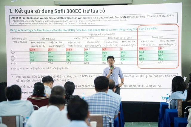 ‘Vũ khí’ mới giúp nông dân ĐBSCL diệt ‘lúa cỏ’ bảo vệ năng suất - Ảnh 3