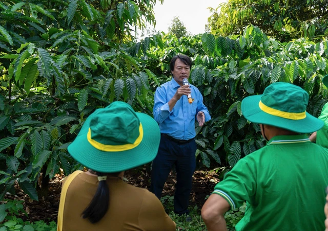 Thu nhập tăng thêm cả trăm triệu đồng nhờ 'trồng cà phê thông minh' - Ảnh 1