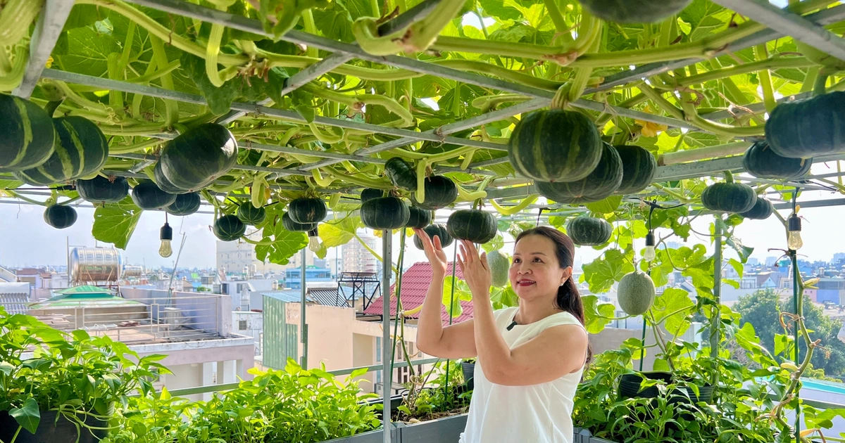 Nông nghiệp đô thị giúp tăng không gian xanh, cải thiện không khí