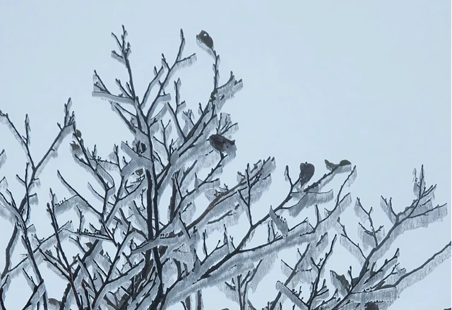 Không khí lạnh mới đang về, miền Trung tiếp tục đón đợt mưa lớn - Ảnh 1