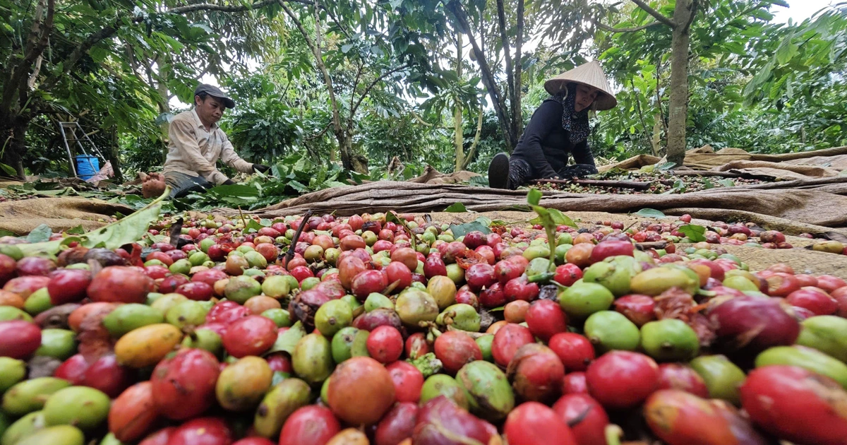 'Điểm nghẽn' nào khiến 5 ngành hàng tỉ USD cùng kiến nghị tháo gỡ?
