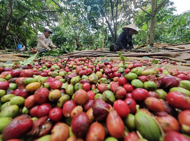 'Điểm nghẽn' nào khiến 5 ngành hàng tỉ USD cùng kiến nghị tháo gỡ? - Ảnh 1