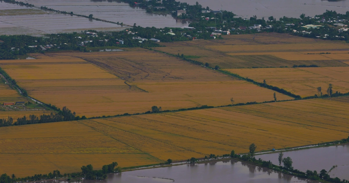 ĐBSCL lũ cuối mùa cao bất thường, có thể ảnh hưởng vụ đông xuân sắp đến
