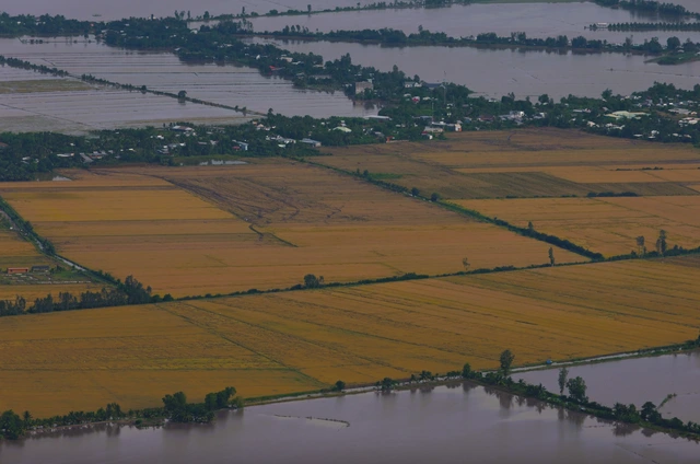 ĐBSCL lũ cuối mùa cao bất thường, có thể ảnh hưởng vụ đông xuân sắp đến - Ảnh 1