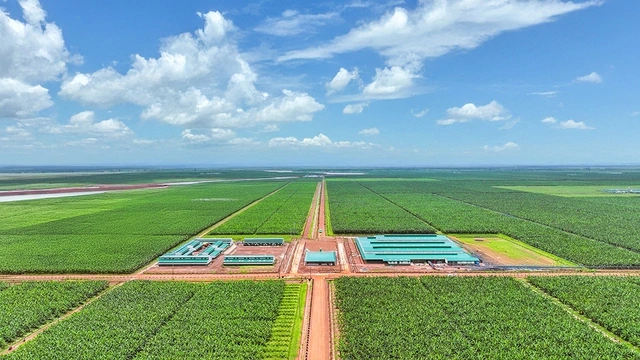 Thời cơ mới cho trái cây Việt - Ảnh 1