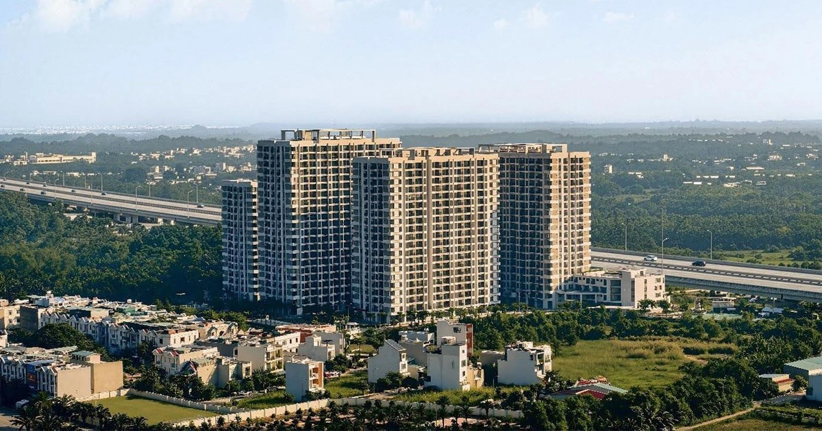 Bất động sản TP. HCM: Giữa 'cơn sốt giá' căn hộ, dòng tiền đang tìm đến đâu?