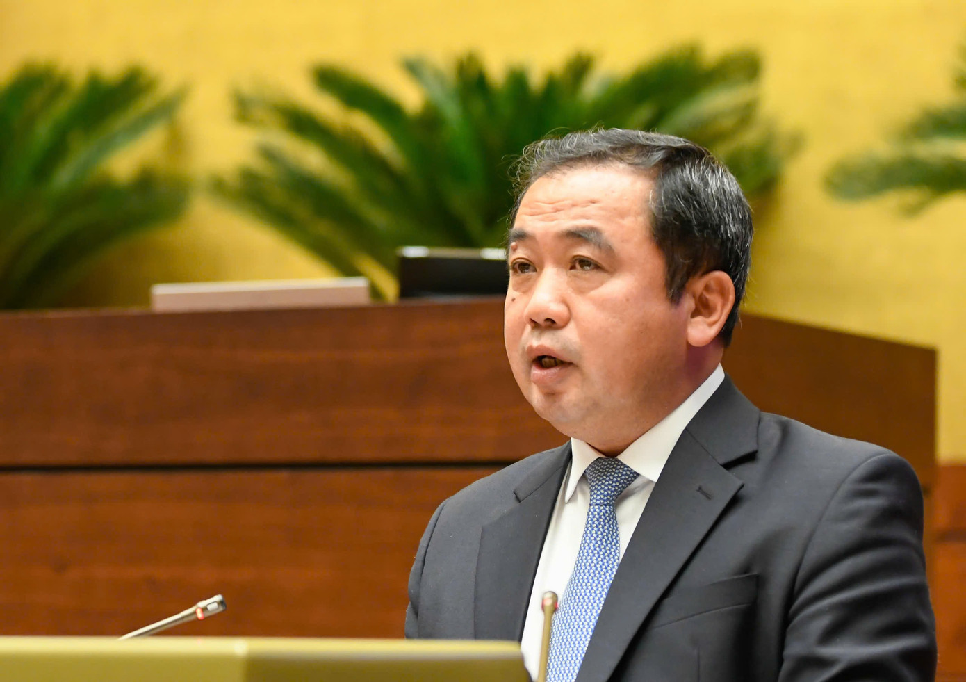 Đất hiếm phân bổ tại 21 tỉnh, thành: Bộ trưởng nói sẽ có chiến lược quốc gia về đất hiếm - Ảnh 1