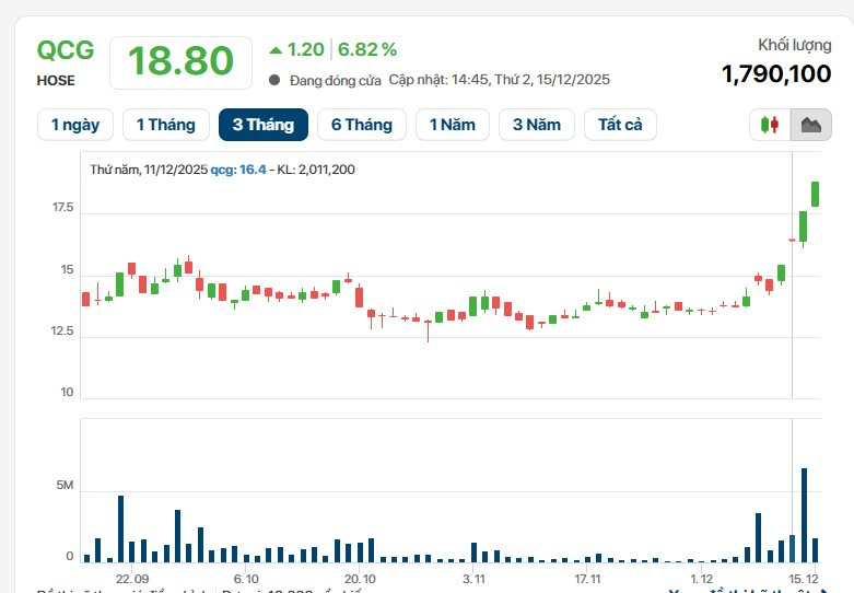 Bộ Công an đề nghị truy tố cựu Chủ tịch QCGL Nguyễn Thị Như Loan, cổ phiếu QCG vừa tăng trần 4 phiên liên tiếp - Ảnh 2