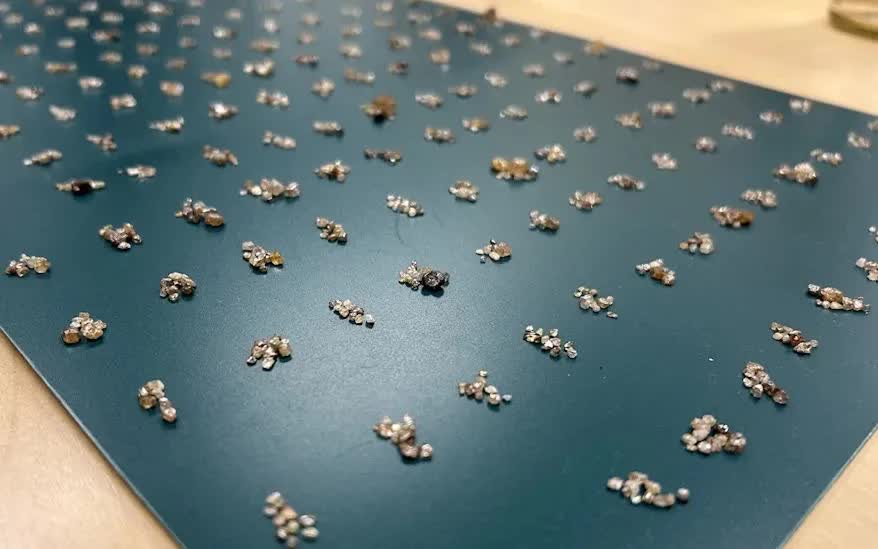 Bắt giữ du khách mang theo 11.000 viên kim cương trong hành lý xách tay đến Đức - Ảnh 1