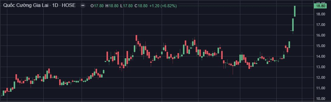 Bất ngờ cổ phiếu 'đại gia phố núi' - Ảnh 1