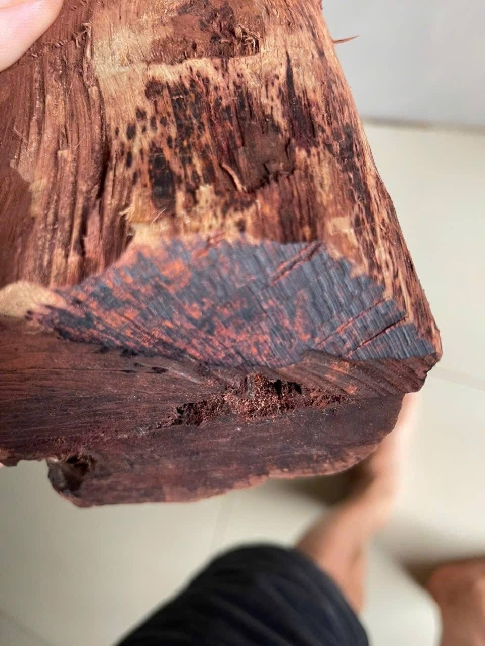 Gỗ mán đỉa 'sốt giá' bất thường - Ảnh 2