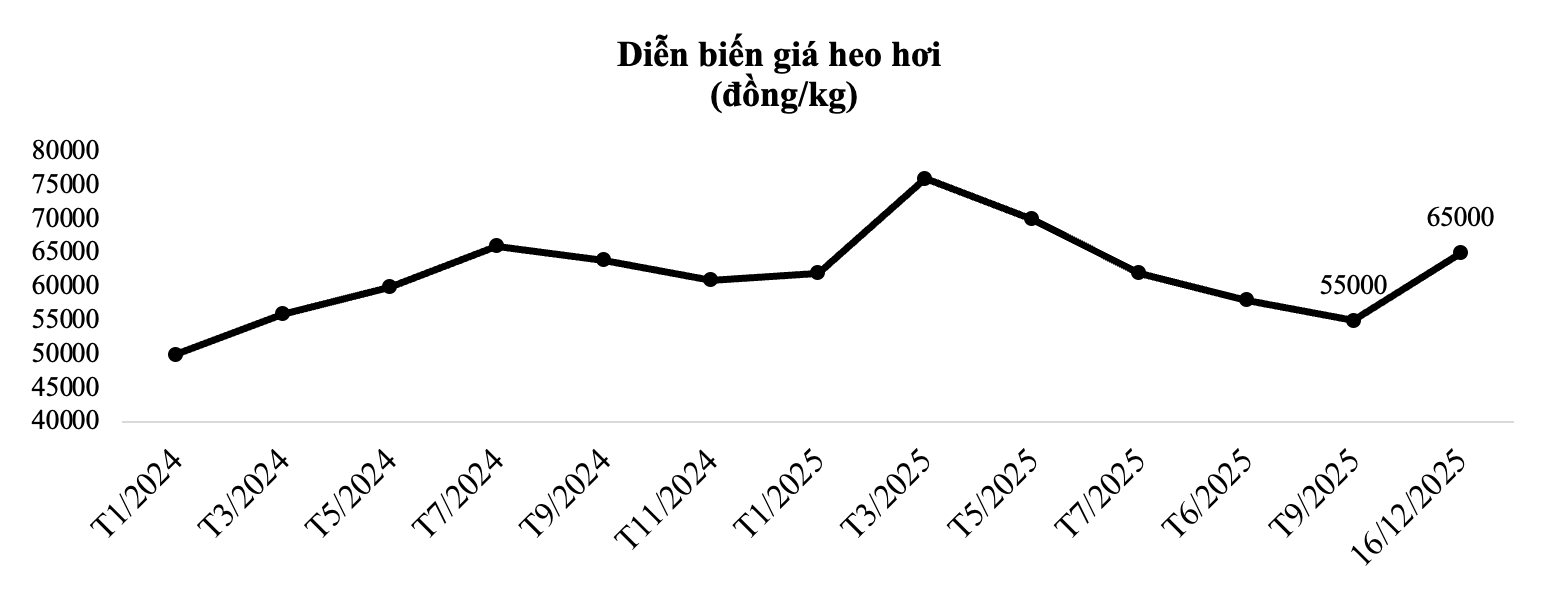 Giá heo bật tăng 36% lên 65.000 đồng/kg do cung suy giảm, “đại gia” chăn nuôi công nghệ cao hưởng lợi - Ảnh 1
