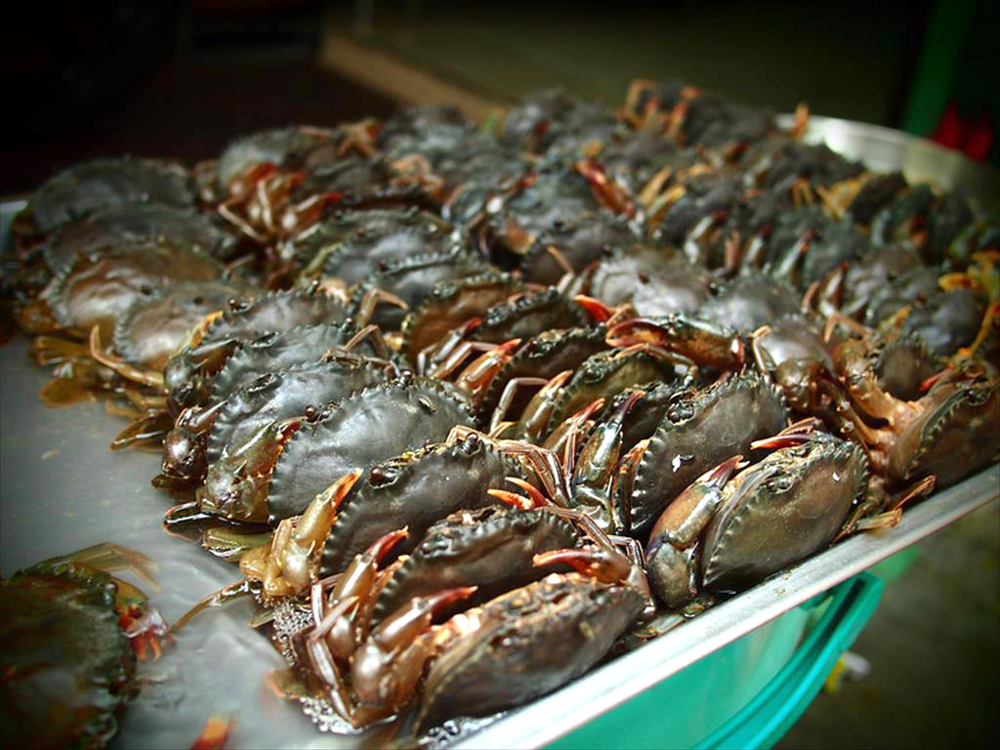 Kho báu dưới nước của Việt Nam 'bơi' sang Mỹ, Nhật Bản siêu đắt hàng: xuất khẩu tăng khủng hơn 600%, chất lượng vượt trội hàng đầu thế giới - Ảnh 1