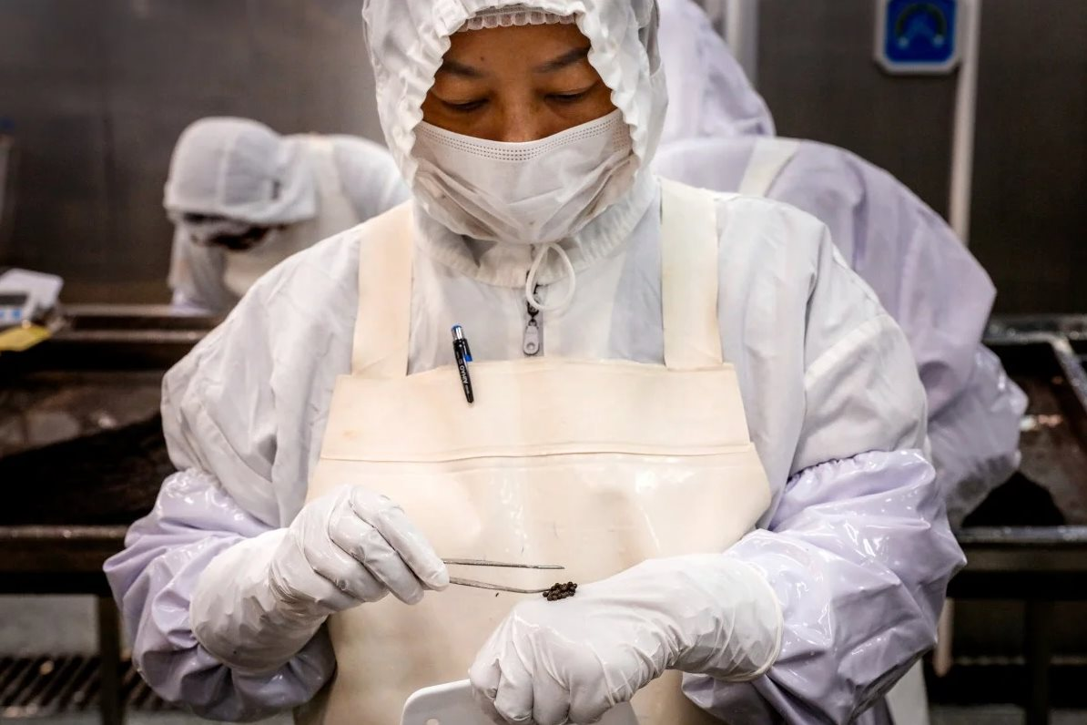 Cứ 10 hộp trứng cá muối thì 6 hộp ‘Made in China’: Trung Quốc từ kẻ vô danh thành nhà sản xuất số 1 thế giới - Ảnh 2