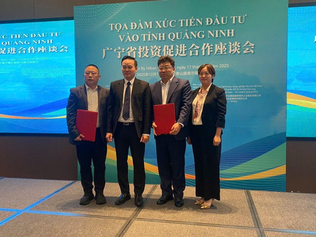 Quảng Ninh xúc tiến kêu gọi thu hút đầu tư vào lĩnh vực công nghiệp chế tạo, chế biến - Ảnh 2