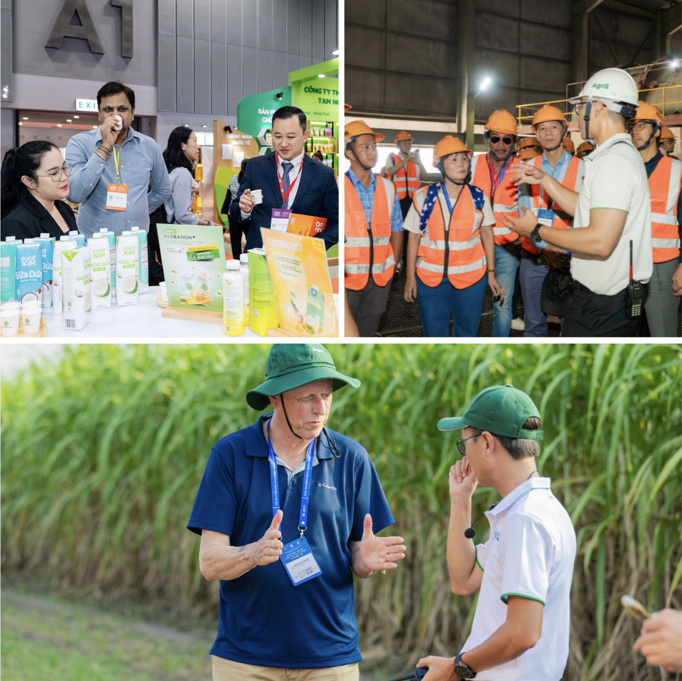 AgriS (SBT) trình làng chiến lược tăng trưởng mới 2025-2030 tại Đại hội đồng Cổ đông - Ảnh 3