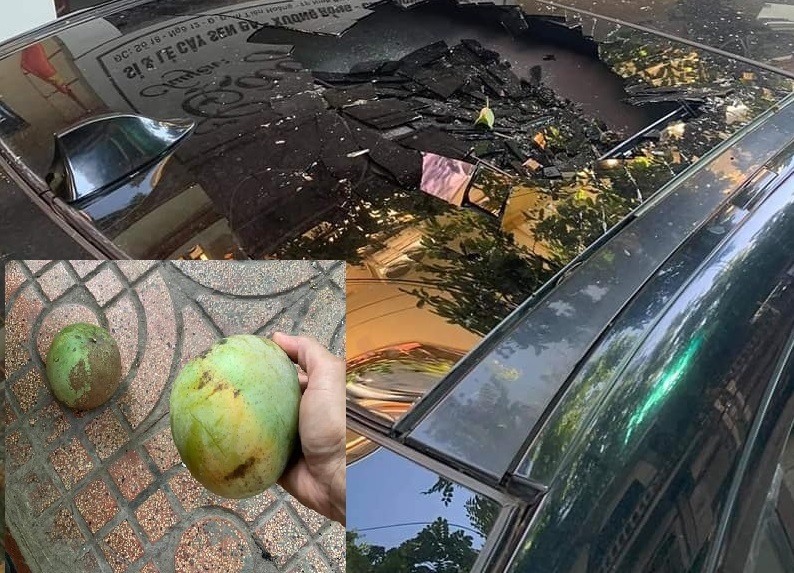 Quả xoài "tai tiếng" nhất Việt Nam: Khiến một nữ đại gia tốn cả trăm triệu vẫn chỉ biết "im lặng chịu trận" - Ảnh 5