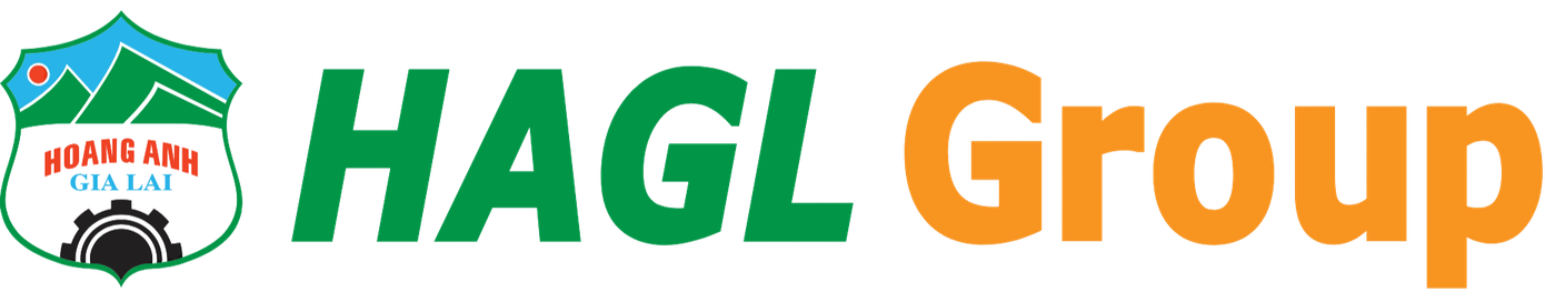 Doanh nghiệp của bầu Đức thay đổi - Ảnh 3